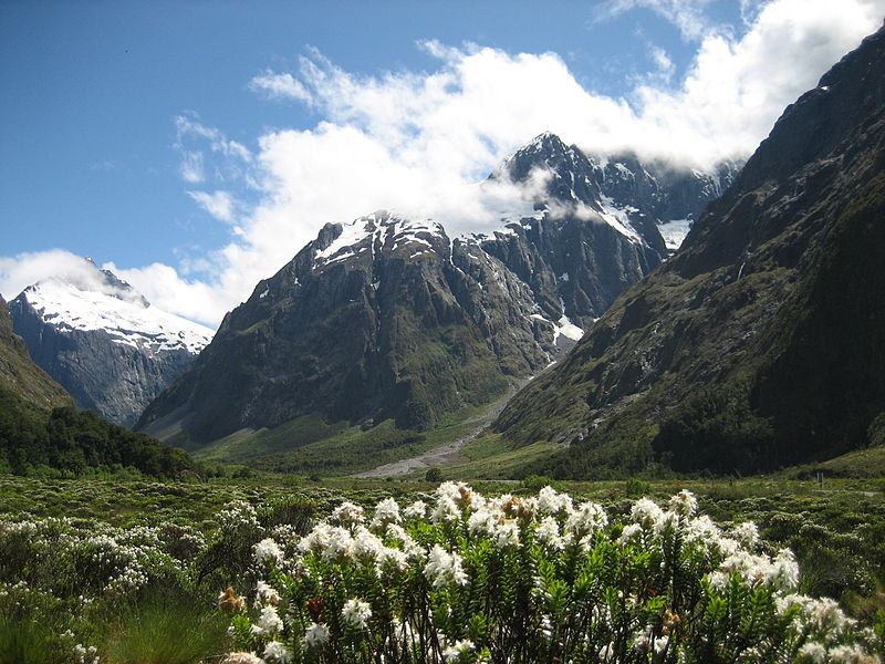 Fiorland Nationial Park, New Zealand